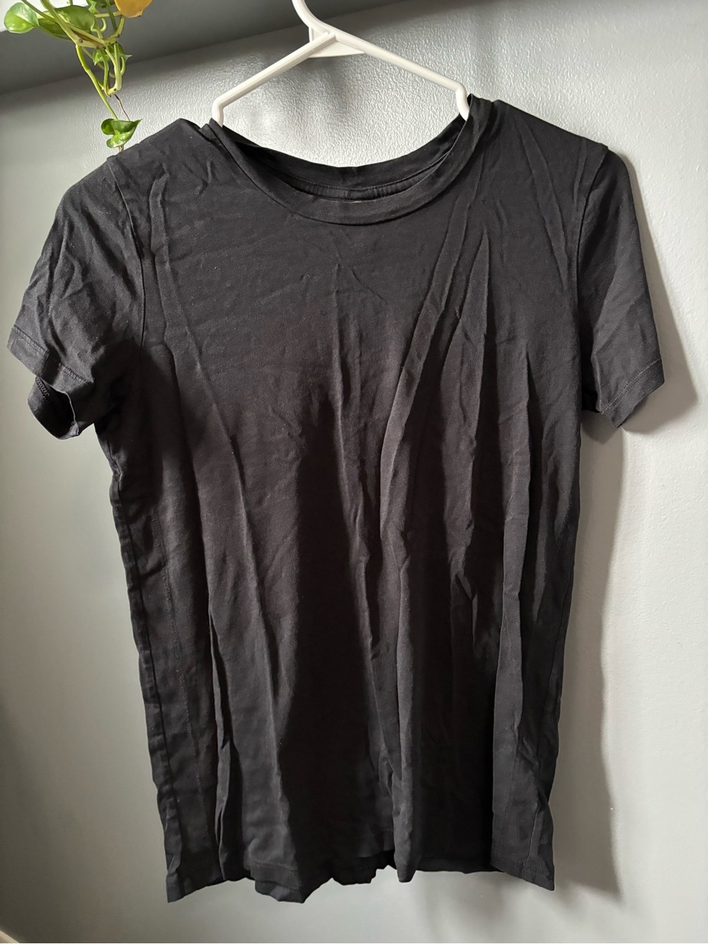 Aritzia Babaton Classic Black Crew Neck T-Shirt